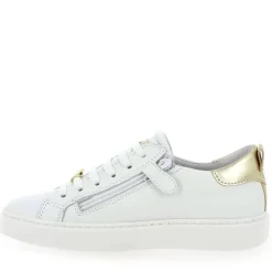 23134035 - Blanc Multi