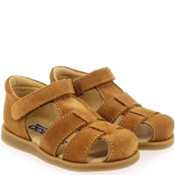 1235 - Camel