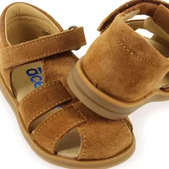 1235 - Camel