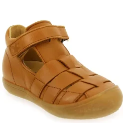 1149 - Camel