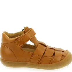 1149 - Camel