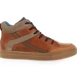 6810 - Cognac