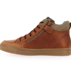6810 - Cognac