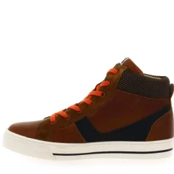 9982 - Cognac