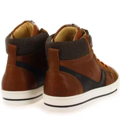9982 - Cognac