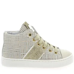22132004 - Gris Dore