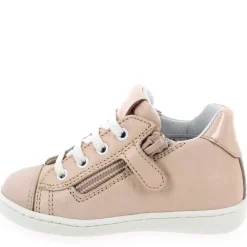 7044 - Rosa Multi