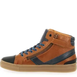 Basile H22 - Camel Bleu