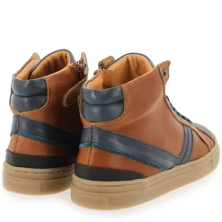 Basile H22 - Camel Bleu