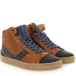 Basile H22 - Camel Bleu