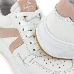 23134500 - Blanc Rose