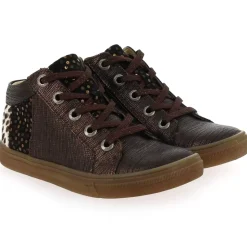 Caligo - Bronze Leopard