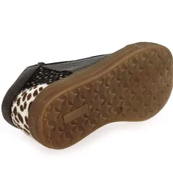 Caligo - Bronze Leopard