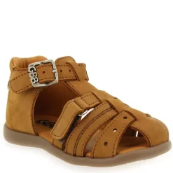 Carigo - Camel