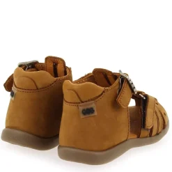 Carigo - Camel