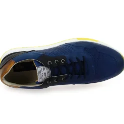 C - Bleu Jaune