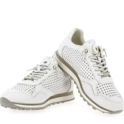 C848 E23 - Blanc Gris