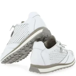 C848 E23 - Blanc Gris