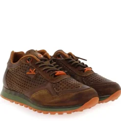 C 848 H23 - Cognac Orange