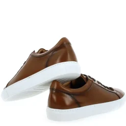 4356 - Cognac