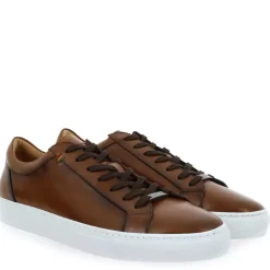 4356 - Cognac