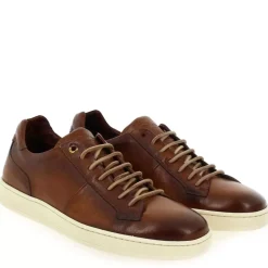 1426 - Cognac