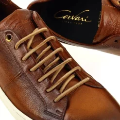 1426 - Cognac