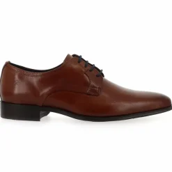 9668 - Cognac