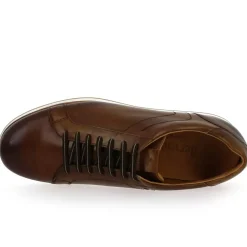 5000 245 - Cognac