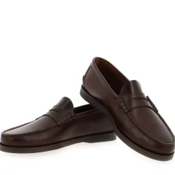 Coraux - Marron