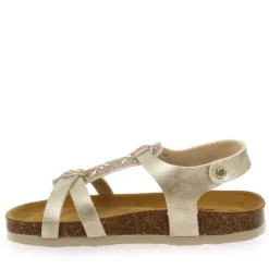 Cross - Dore Multi