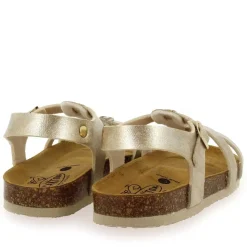 Cross - Dore Multi