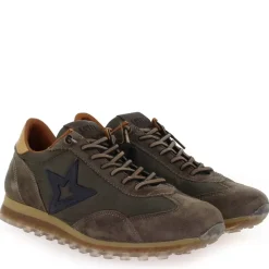 C1259. - Taupe