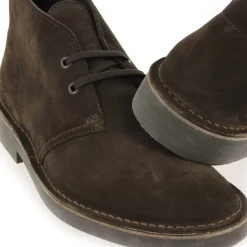 Desert Boot Evo - Chocolat