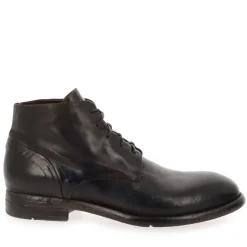 Dr21A - Marron