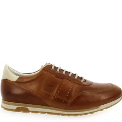 F1186 - Cognac