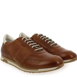 F1186 - Cognac