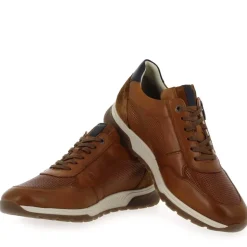 F1752 - Cognac