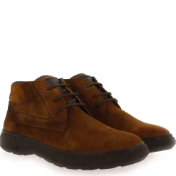 F1878 - Cognac