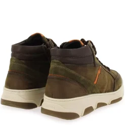 F1519 - Kaki