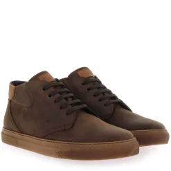 F1549 - Marron