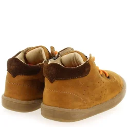 Follio - Cognac