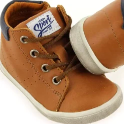 Follio H21 - Cognac