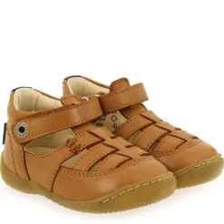 Gakick - Camel Marine