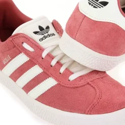 Gazelle - Rose
