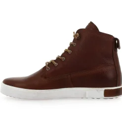 Gm06 - Marron