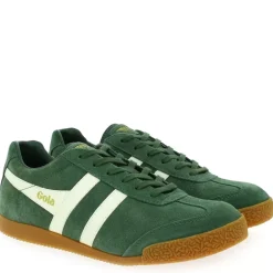 Harrier - Vert Blanc