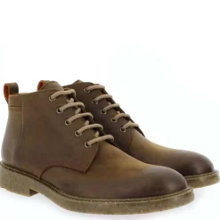 Howard - Marron