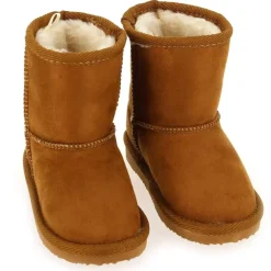 Li - Camel