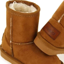 Li - Camel